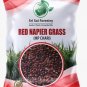 Super Napier & Red Napier Grass Seeds Combo Pack 200g Multi Cut Grass Seed
