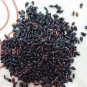 Super Napier & Red Napier Grass Seeds Combo Pack 200g Multi Cut Grass Seed