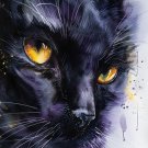 Print ACEO Lovable Black Cat Home Pet Animal Art Card Limited Edition