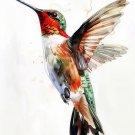 Print ACEO Hummingbird Graffiti Art Card Limited Edition