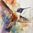 Print ACEO Hummingbird Graffiti Art Card Limited Edition