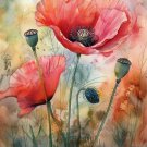 Print ACEO Poppy Flower Art Card Limited Edition