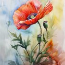 Print ACEO Poppy Flower Art Card Limited Edition