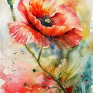 Print ACEO Poppy Flower Art Card Limited Edition