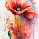 Print ACEO Poppy Flower Art Card Limited Edition