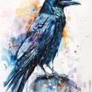 Print ACEO Raven Crow Skull Bird Art Card Limited Edition