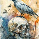 Print ACEO White Raven Crow Skull Bird Art Card Limited Edition