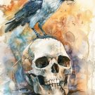 Print ACEO White Raven Crow Skull Bird Art Card Limited Edition