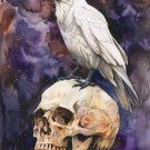 Print ACEO White Raven Crow Skull Bird Art Card Limited Edition