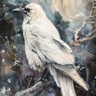 Print ACEO White Raven Crow Skull Bird Art Card Limited Edition