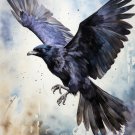 Print ACEO Raven Crow Skull Bird Art Card Limited Edition
