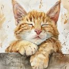 Print ACEO Lovable Cat Home Pet Animal Art Card Limited Edition