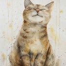 Print ACEO Lovable Cat Home Pet Animal Art Card Limited Edition
