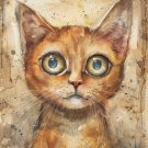 Print ACEO Lovable Cat Home Pet Animal Art Card Limited Edition
