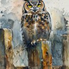 Print ACEO Mountain Owl Tree Bird Art Card Limited Edition