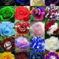 20 Colors Rose Shrub Flower 50 PCS Seeds