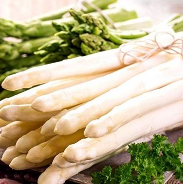 Rare White Asparagus Organic Chinese Vegetable 20 PCS Seeds