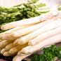Rare White Asparagus Organic Chinese Vegetable 20 PCS Seeds