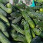 Dark Green Cucumber 25 PCS Seeds
