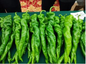 'Chitterlings' Green Red Hot Pepper Vegetable 30 PCS Seeds