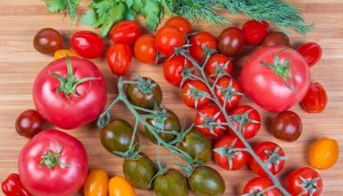 'Colorful Cherry' Indeterminate Tomato Organic 300 PCS Seeds