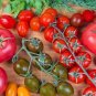 'Colorful Cherry' Indeterminate Tomato Organic 300 PCS Seeds