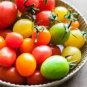 'Colorful Cherry' Indeterminate Tomato Organic 300 PCS Seeds