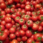 Honglian' Small Big Mixed Dark Red Tomato Hybrid F1 Tomato 100 PCS Seeds