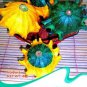 'Imperial Crown' Pumpkin Ornamental Squash 8 PCS Seeds