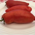 'Opalka' Organic Polish Heirloom Tomato 100 PCS Seeds