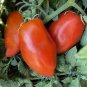 'Opalka' Organic Polish Heirloom Tomato 100 PCS Seeds