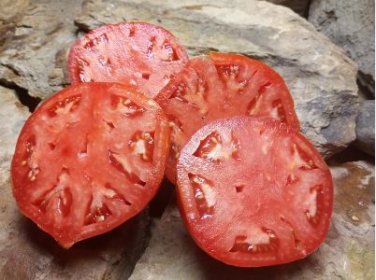 'Ox Horn' Rare Tomato 400 PCS Seeds