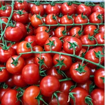 'Piccolo Cherry' Tomato 100 PCS Seeds
