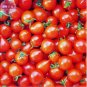 'Piccolo Cherry' Tomato 100 PCS Seeds