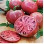 'Purple Shengnv' Indeterminate Tomato Organic 300 PCS Seeds