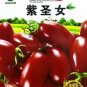 'Purple Shengnv' Indeterminate Tomato Organic 300 PCS Seeds