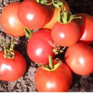 'Red Flat Peach' Indeterminate Tomato Organic 300 PCS Seeds 'Red Flat Peach' Indeterminate Tomato Organic 300 PCS Seeds