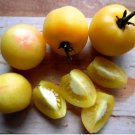 'Wapsipinicon Peach' Organic Heirloom Tomato 100 PCS Seeds