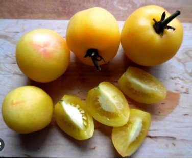 'Wapsipinicon Peach' Organic Heirloom Tomato 100 PCS Seeds