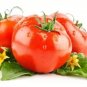 'Water Yu' Pink Tomato 100 PCS Seeds