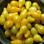 'Yellow Pear' Organic Heirloom Tomato 100 PCS Seeds