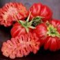'Zapotec Ruffled' Old Rare Mexican Organic Heirloom Tomato 100 PCS Seeds