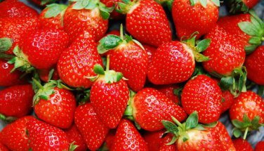 Imported Japanese Red Climbing Strawberry 200 pcs Seeds