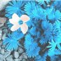 ACID Blue Oxalis Seeds Wood Sorrel Flowers 100 pcs Seeds
