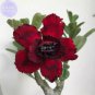 Adenium Blackish Dark Red Desert Rose Flower 2 pcs Seeds