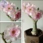 Adenium Mixed 9 Types Double Petals Flower 100 PCS Seeds