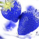 African Blue Strawberry 100 PCS Seeds