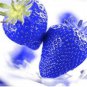 African Blue Strawberry 100 PCS Seeds
