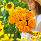 African Marigold Flowers Orangish Yellow Color 200 PCS Seeds