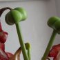 Amaryllis Bonsai Amaryllis Flower Bonsai Amaryllis Hydroponic Plants 50 Seeds